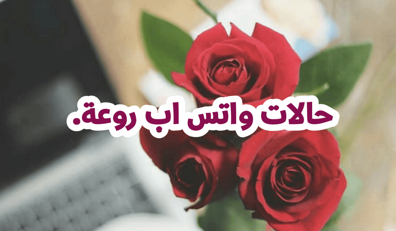 حالات واتس اب حلوه وروعه 3580