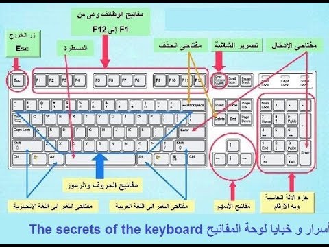 اسرار لوحة المفاتيح - ماذا تعرف عن خبايا واسرار لوحة المفاتيح 11432 2