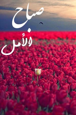 صور حلوه جدن 10972 4