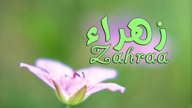 اسم زهراء - معنى اسم زهراء 2222