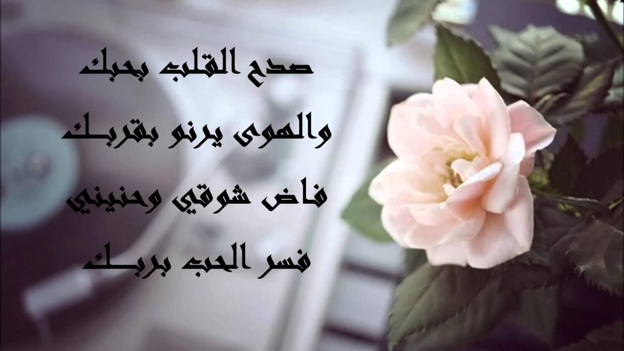 مداعبة الزوج لزوجته 6651