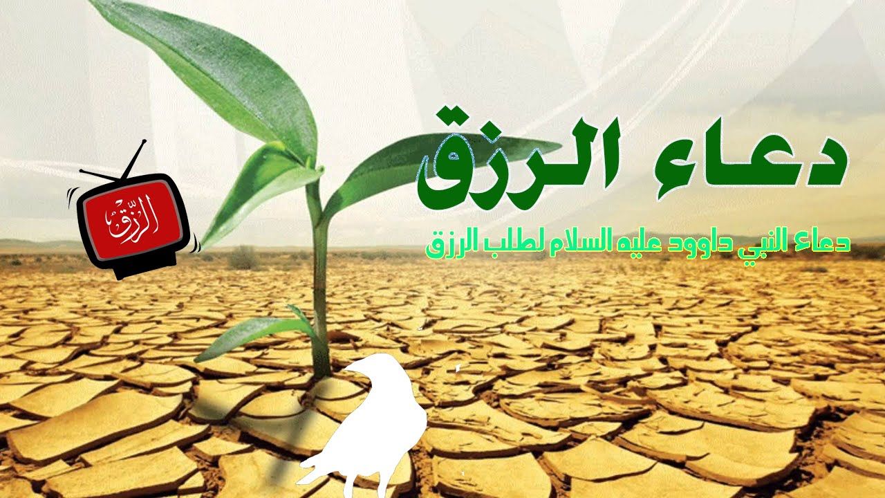 دعاء الرزق - ما هو دعاء الرزق المستجاب 5815 2