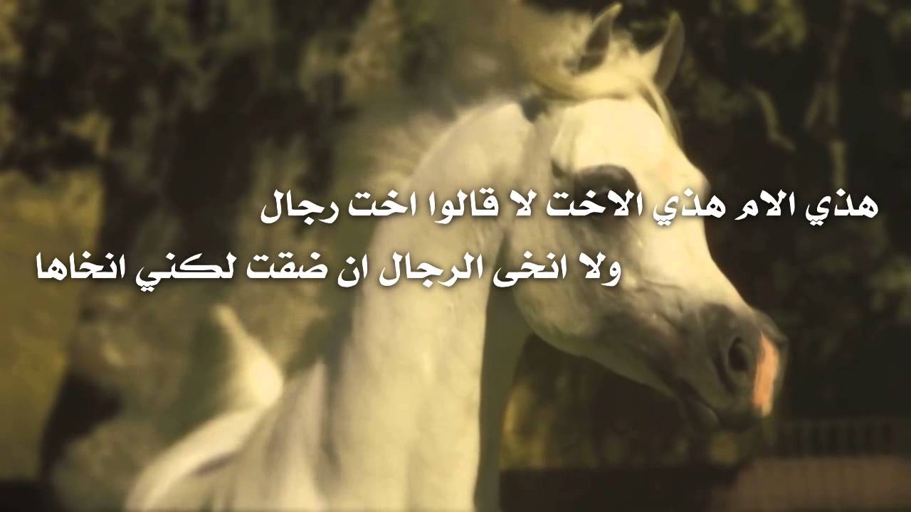 شعر عن رمضان 6738 8