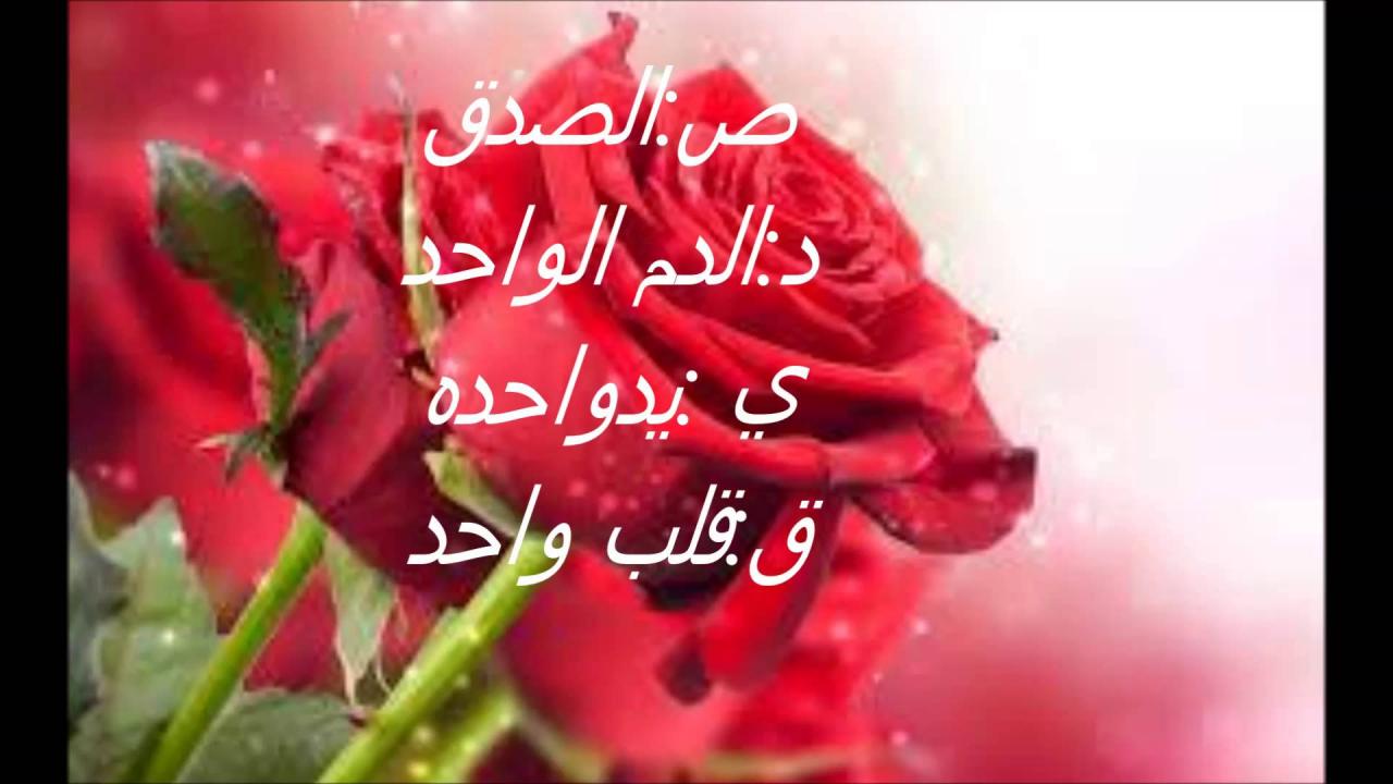 صور معبرة عن الصداقة 3628 9