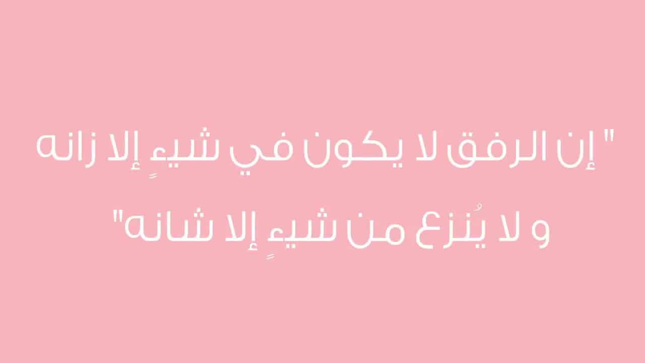 موضوع عن الرحمة - تعبير عن الرحمة 11976 3