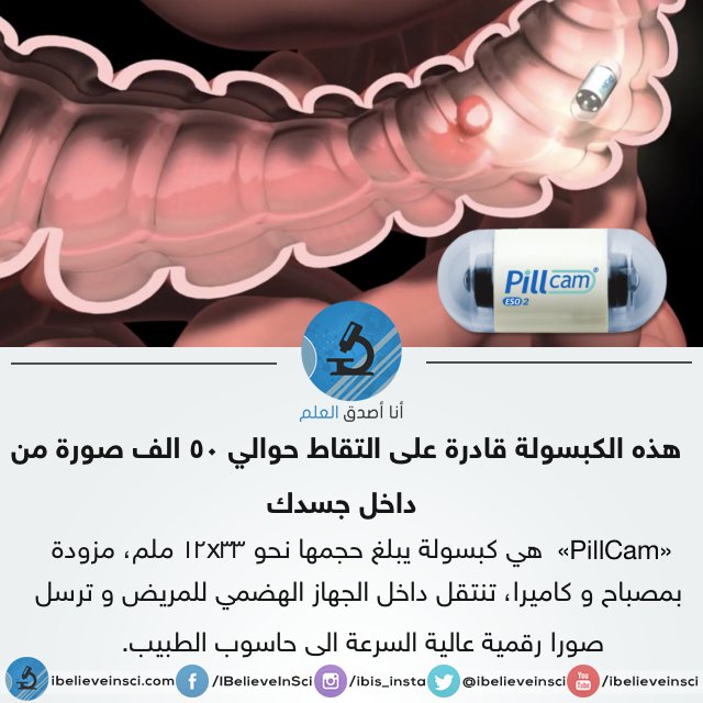 تعلم الفرنسية من الصفر للاحتراف جميع الدروس مشروحة باللغة العربية 11063 2