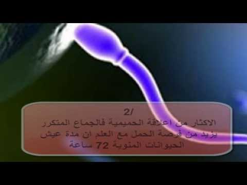 لو نفسك تحملي بسرعة تعالي هنا - اسرع طريقة للحمل باذن الله 2906 2