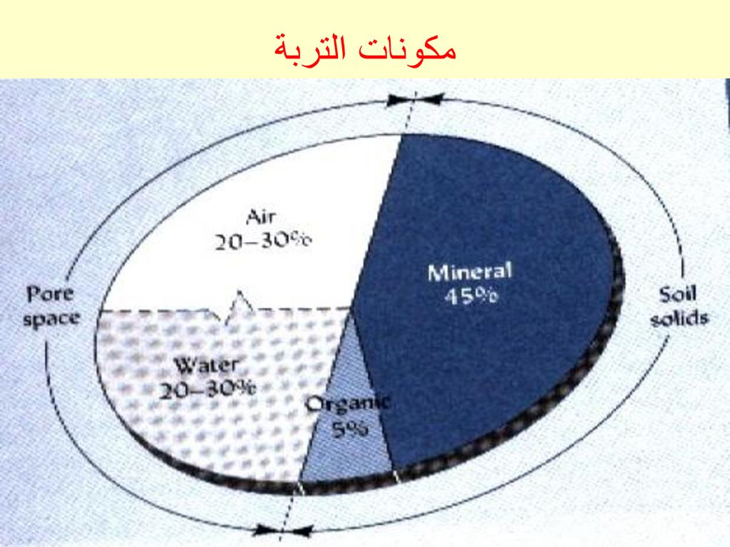 مكونات التربة - عناصر تكوين التربة 605 1