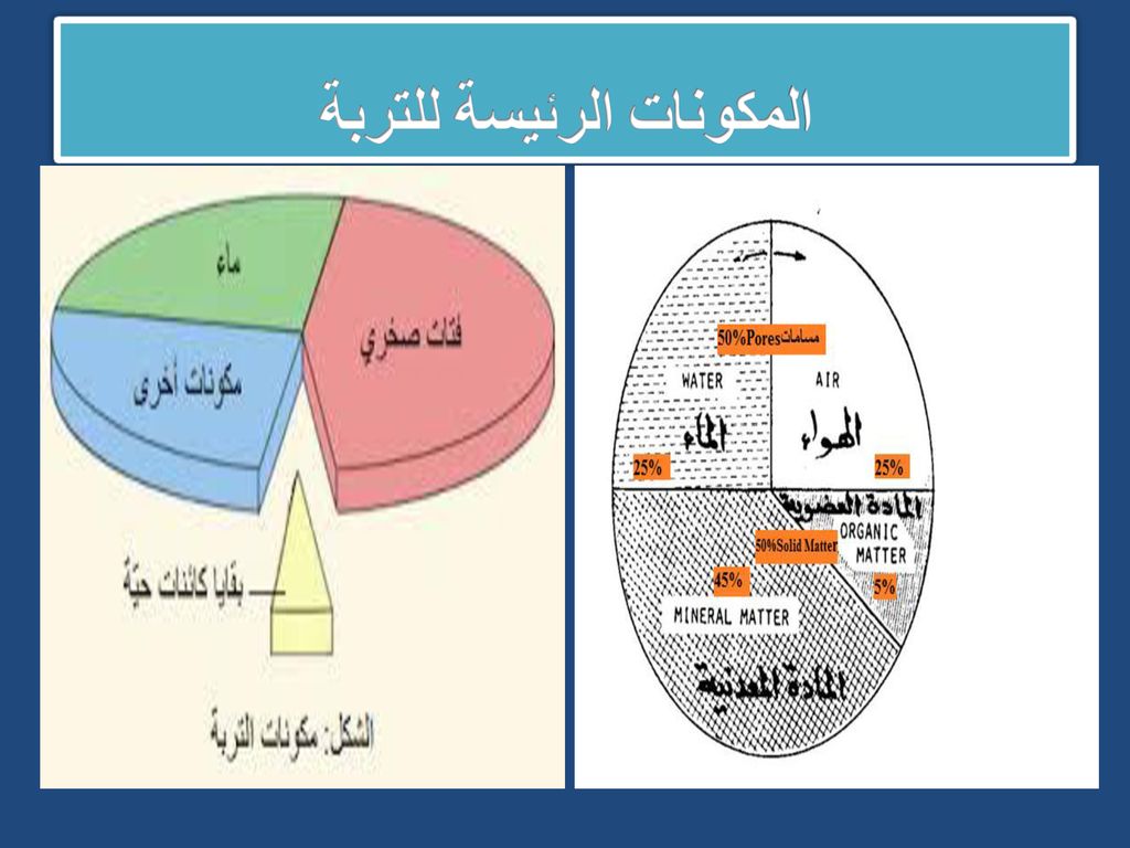 مكونات التربة - عناصر تكوين التربة 605 2