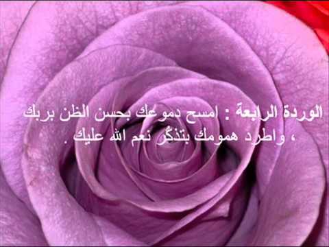 حكم عن الورد - اجمل الكلمات عن الورد 2437 1