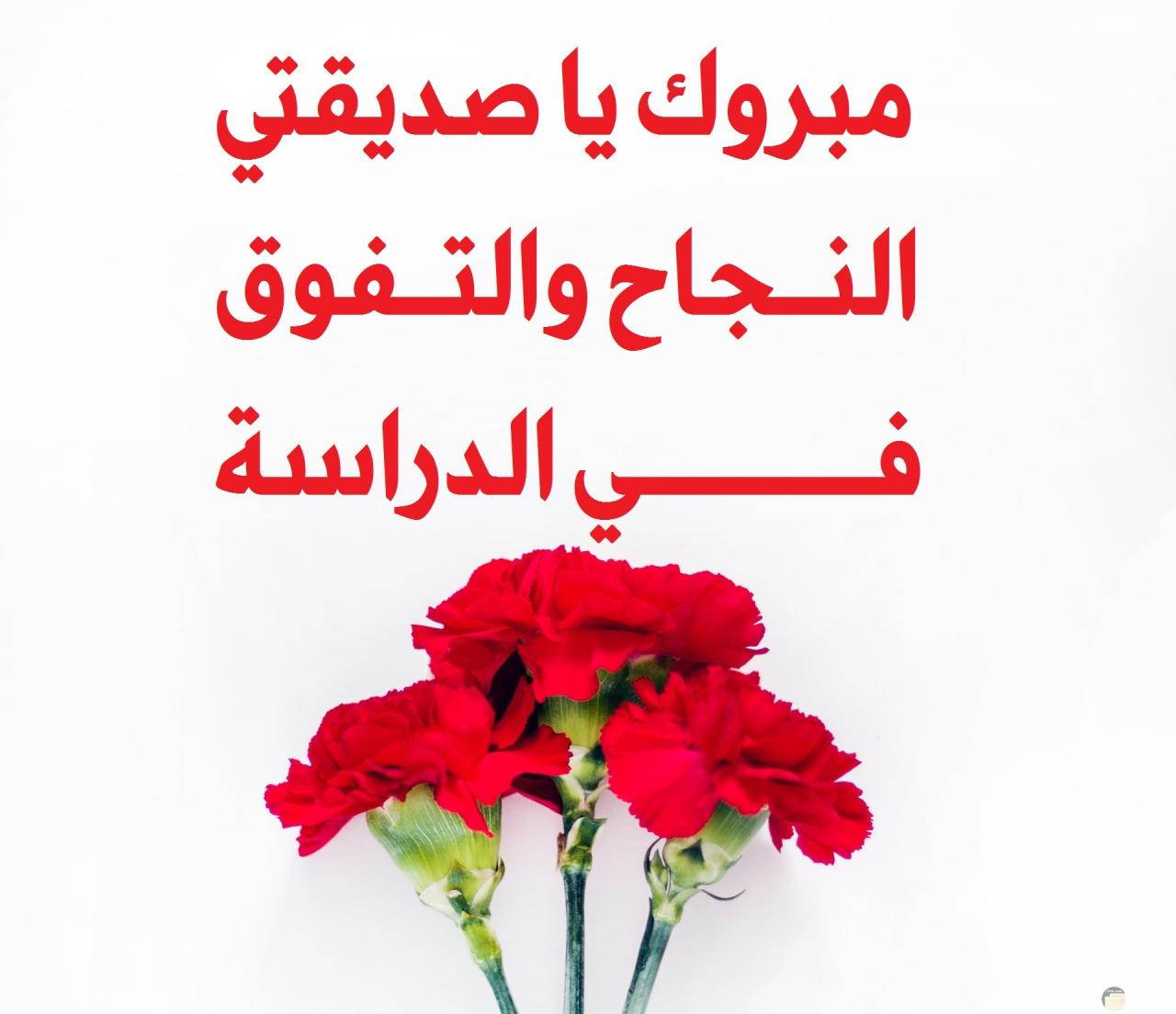 صور بمناسبة النجاح 10875 4