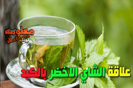 اضرار الشاي الاخضر - اضرار الشاي و فوائده 4846 3