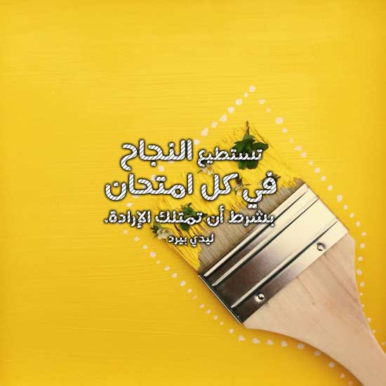 كلمات عن الاختبارات 11067 4