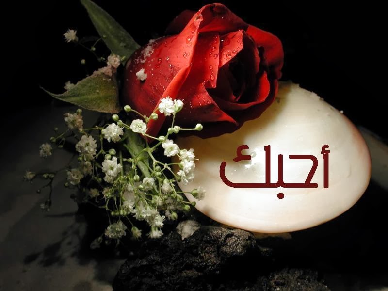 صور حب و غرام - اجدد صور الحب والغرام 930 5