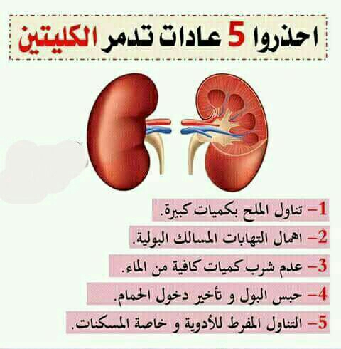 معلومات صحية - حقائق طبيه مفيده 3291