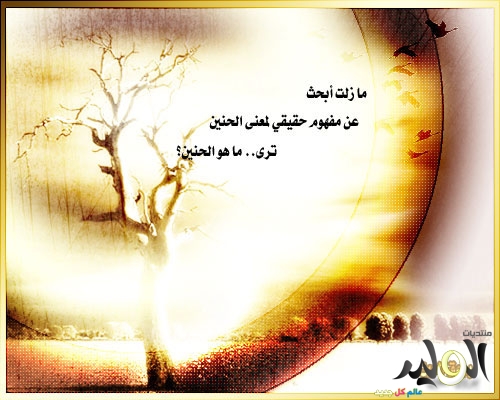 اشعار حب وغرام - صور عن الحب 4957 8