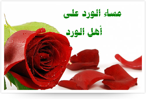 صور للمساء 5535