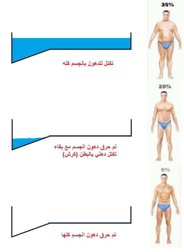 طريقة تخسيس الكرش , افضل الطرق للتخلص من الكرش