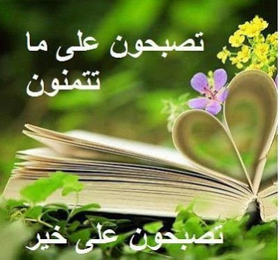 تصبح على خير - اجمل تصبح على خير 2495 6