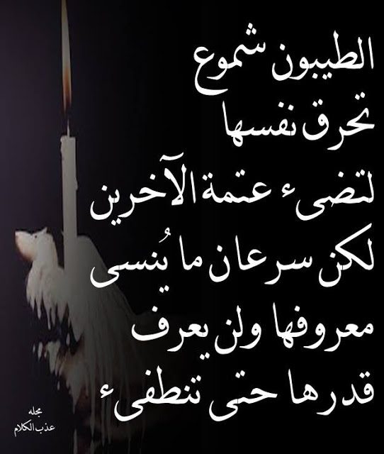 خير الكلام ما قل ودل - روعة الكلام 1629 3