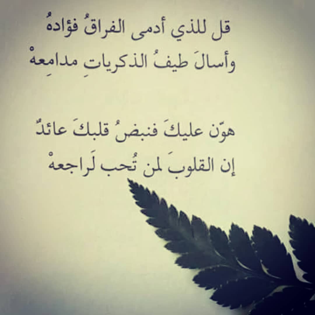 شعر غزل خليجي 6738 11