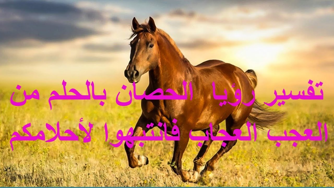 الحصان في المنام , تفسير ركوب ورؤية الخيل