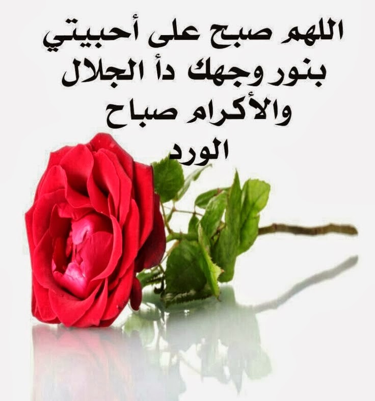 رسائل صباحية - اجمل رسائل للصباح 1290 3