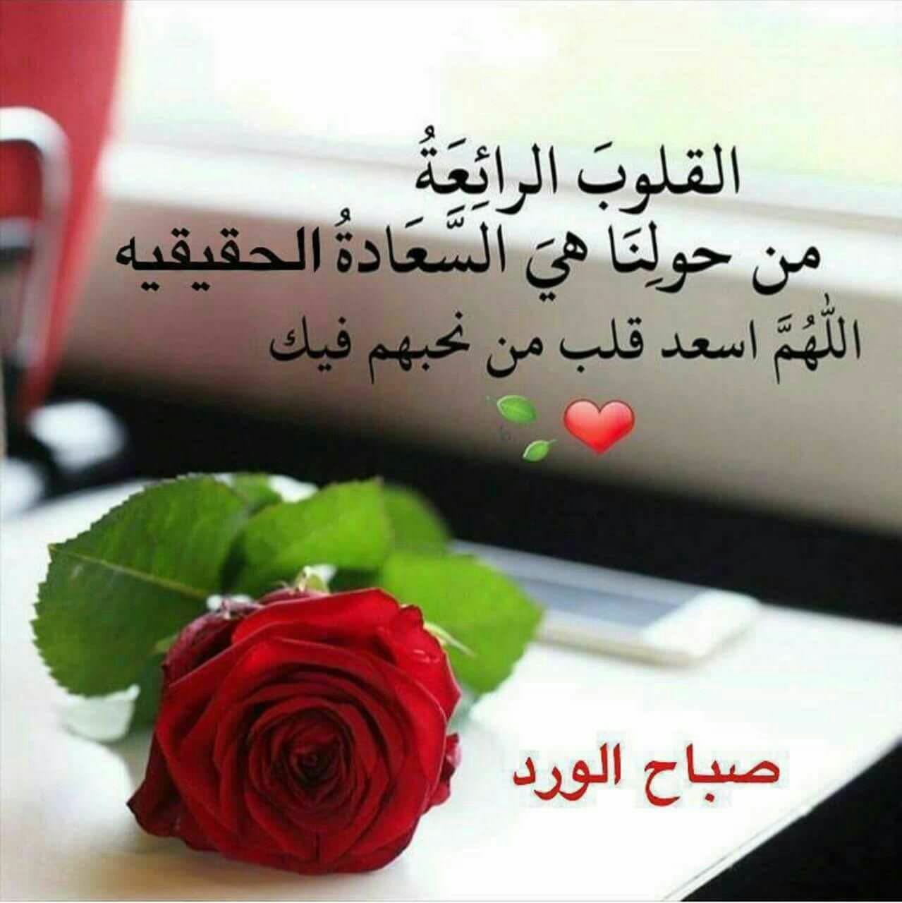 صور صباحيه جميله 5637 10