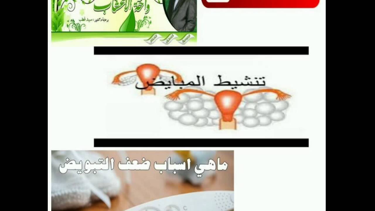 علاج ضعف المبايض بالقران - علاج تاخر الحمل بالقران 12223 1