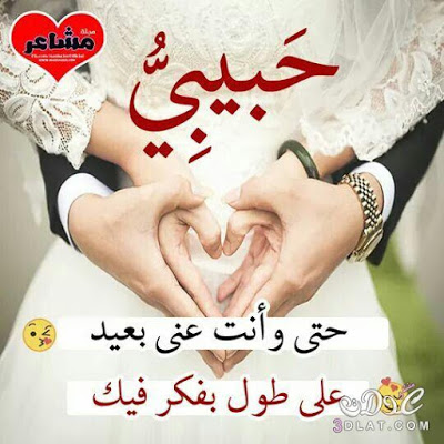 صور حلوه جدن 10972 3