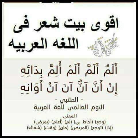 ابيات شعر عن اللغة العربية - ماذا قال الشعراء عن لغتنا العربية الفصحي 11330 1