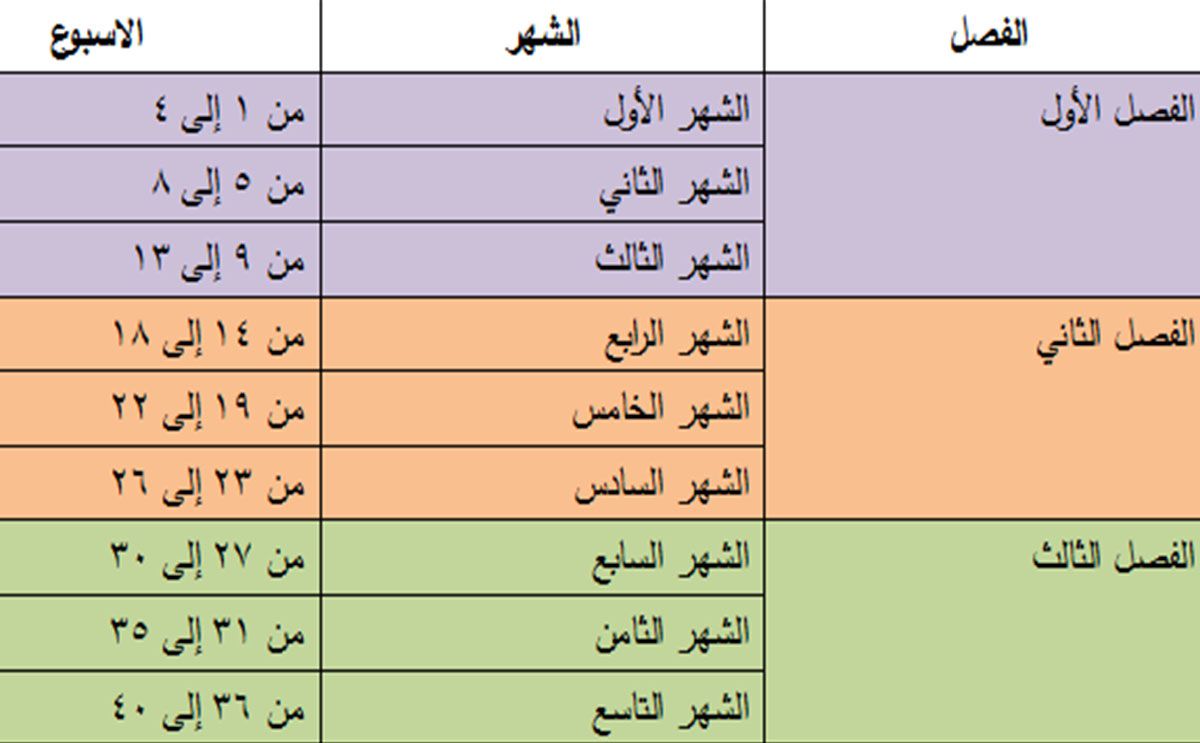 حاسبة الحمل بالاشهر - لو عايزة تعرفي انتي في الشهر الكام للحمل وموعد ولادتك 1000 1