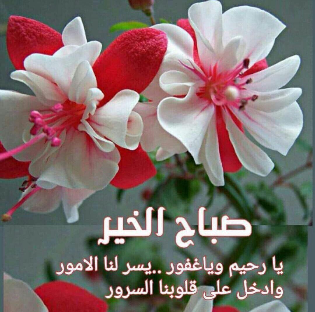 زهور الكلمات 5665 6