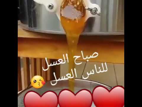 صباح العسل ياعسل 5323 6