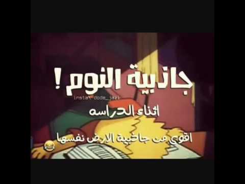 صور عن الدراسة - مواقف ونكت عن الدراسة والامتحانات 536 11