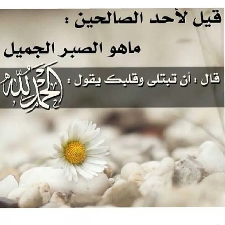 صور اسلاميه - اجمل الصور التى تخص الاسلام 5402 3