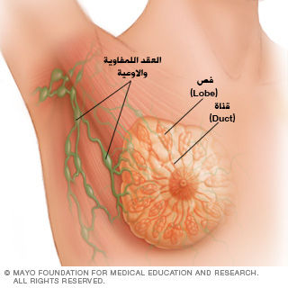 مرض سرطان الثدي - امراض الثدى وخطورتها 6273 1