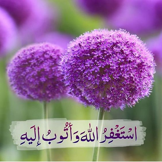 صور منوعه جديده - اجدد الصور المختلفة 2414 3