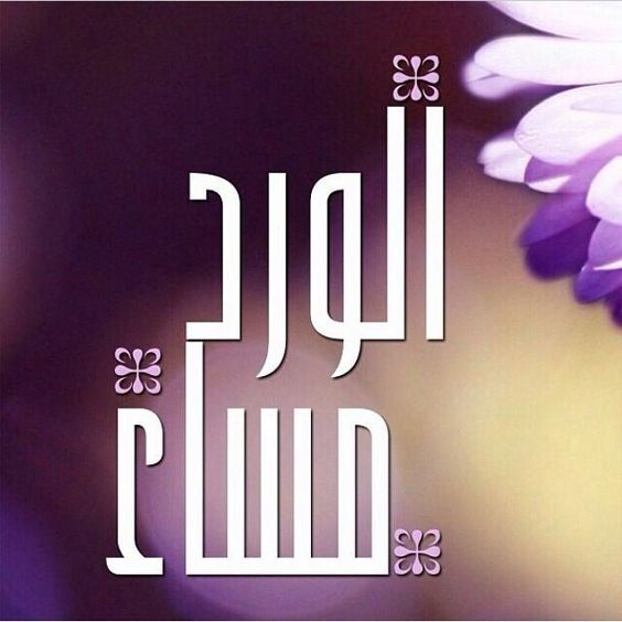 احلى مساء - صور عن المساء 4941 1