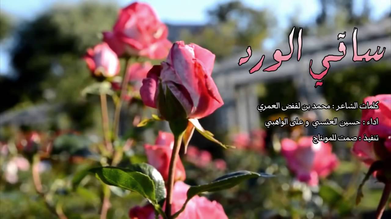 شعر عن الورد - هدايا قيمة لاحبابك 1406 12