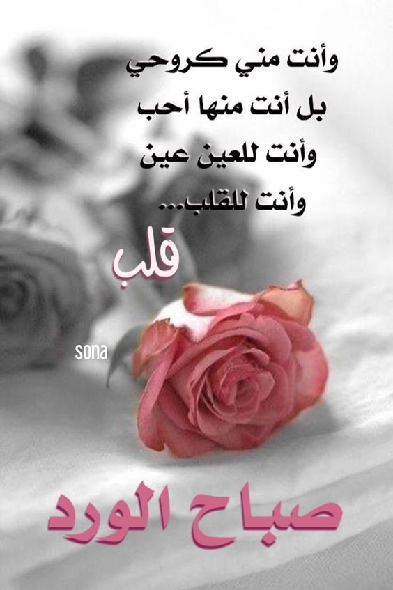 صباح الخير للحبيب 5306 8