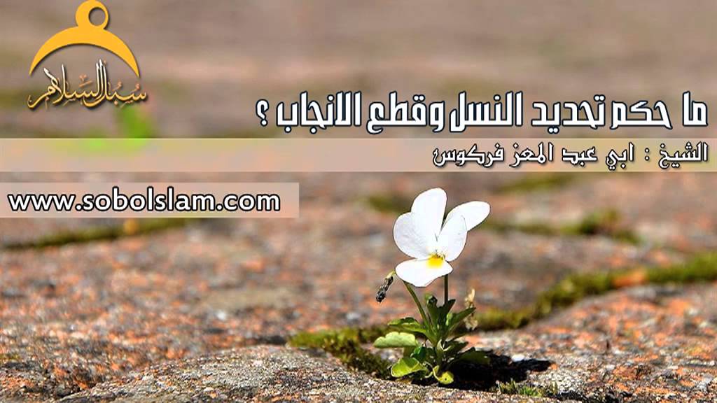 حكم تحديد النسل - ما هو قول الفقهاء والدين في تحديد النسل 11321 1