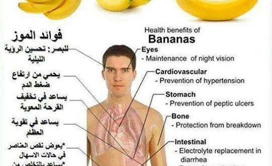 ماهي فوائد الموز - فائدة اكل الموز 2273 1