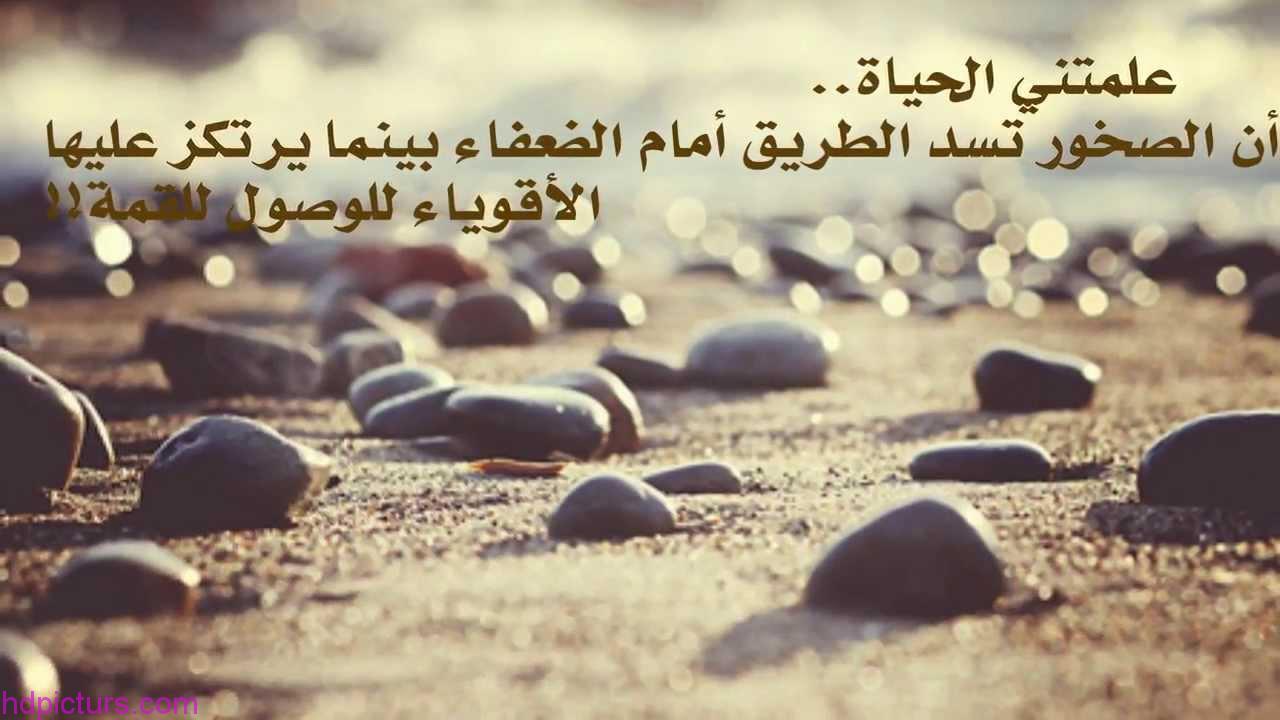 صور عن الحياة 5355 8