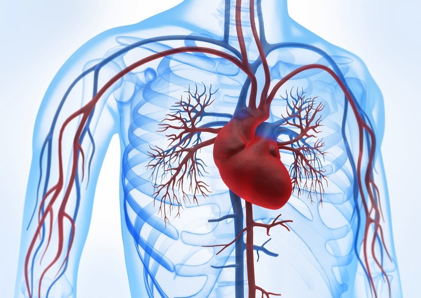 علاج مرض القلب - طرق علاج مرض القلب