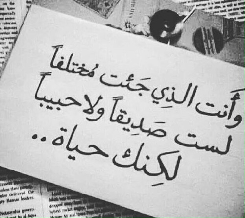 شعر شعبي عن الصديق الوفي - ابيات مؤثرة عن الخل الوفي 5919 8