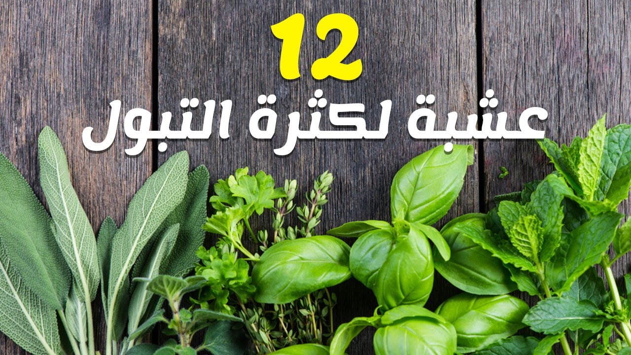 علاج كثرة التبول بالاعشاب - كيفيه علاج كثرة التبول بالاعشاب 2853 3