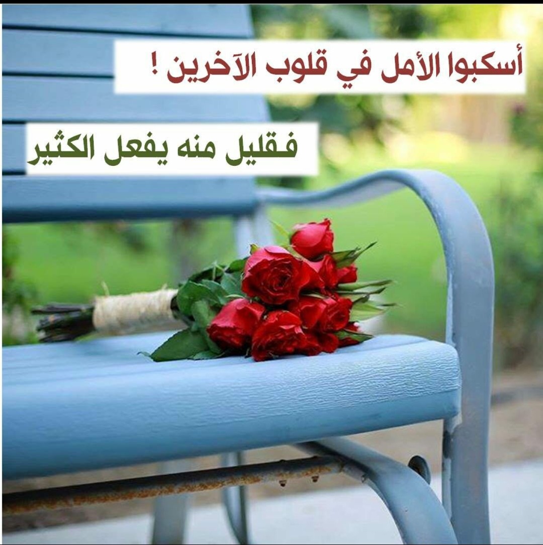 زهور الكلمات 5665 1