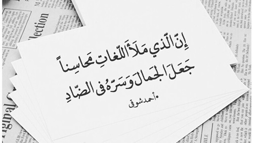 ابيات شعر عن اللغة العربية - ماذا قال الشعراء عن لغتنا العربية الفصحي 11330 2