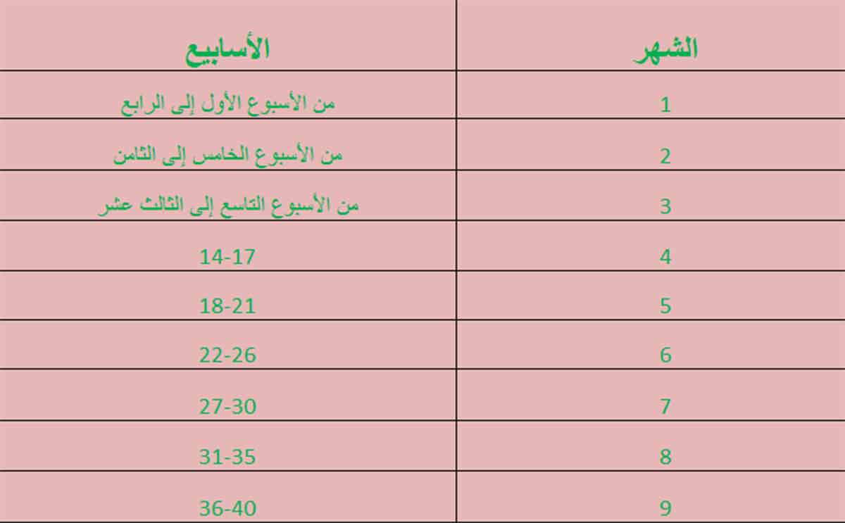 حاسبة الحمل بالاشهر - لو عايزة تعرفي انتي في الشهر الكام للحمل وموعد ولادتك 1000 2